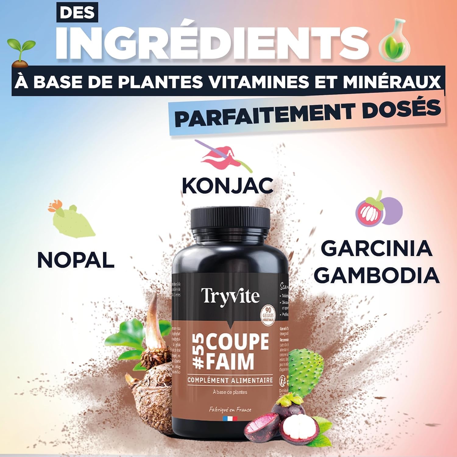 TRYVITE Konjac Coupe-Faim - Solution Naturelle pour une Perte de Poids Rapide et Efficace | 90 Gélules Minceur Fabriquées en France